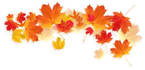 free autumn leaf images|fall leaf pictures free images.